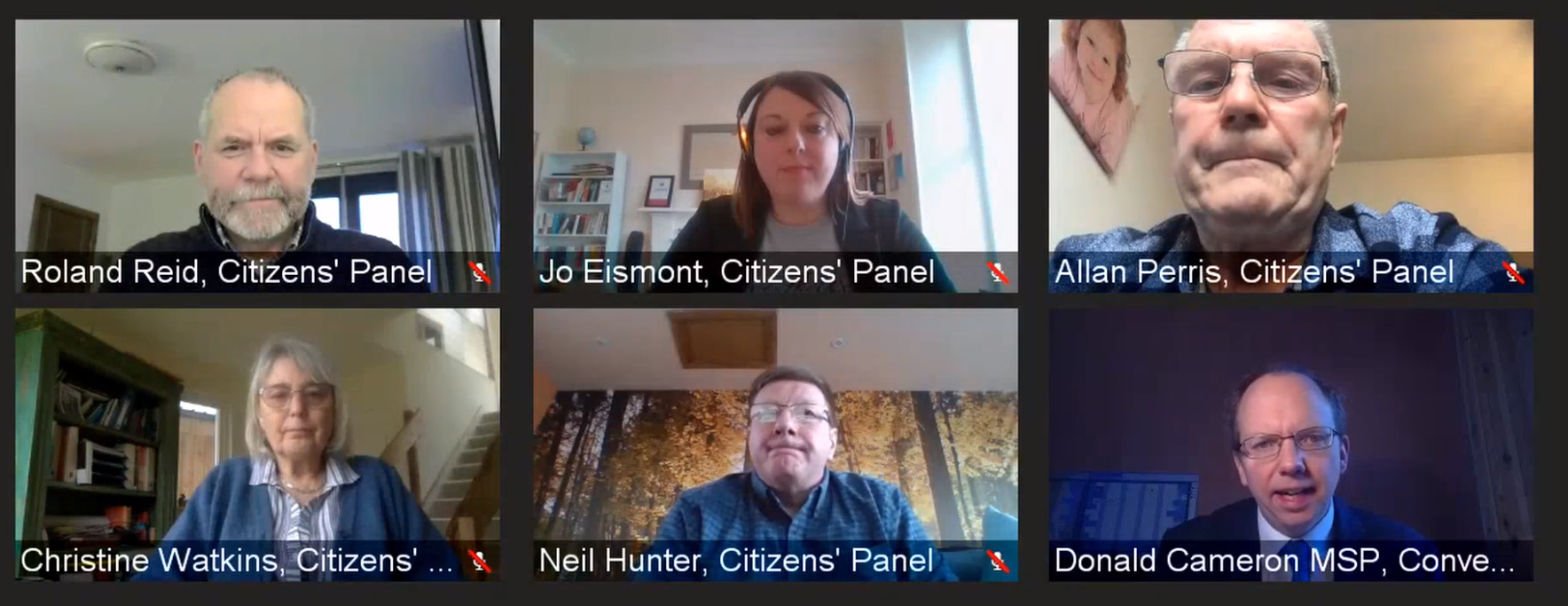 Five members of the Citizens' Panel giving evidence to the COVID-19 Committee at its meeting on 18 February 2021..